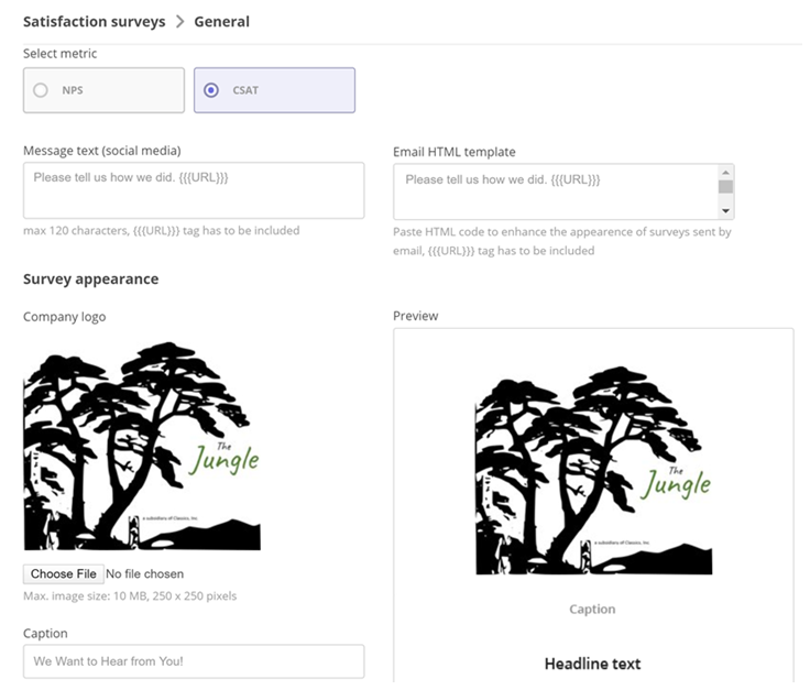 satisfaction-surveys