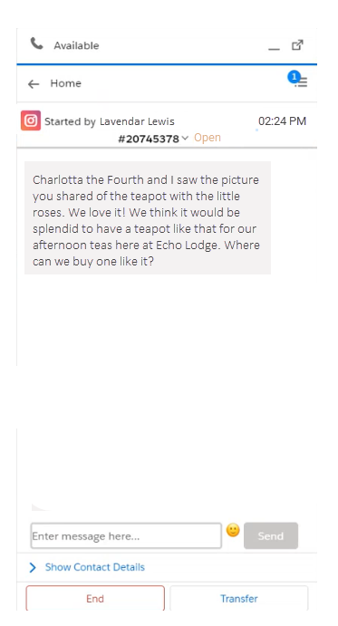 An example of replying to an Instagram message in Salesforce Agent. 