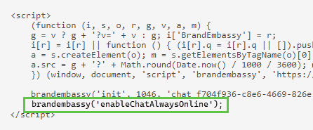 An example of Live Chat JavaScript code with the new copied code located above the closing </script> tag. 