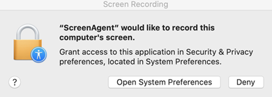 Screenshot einer Aufforderung zur Erteilung der Genehmigung zur Bildschirmaufnahme
