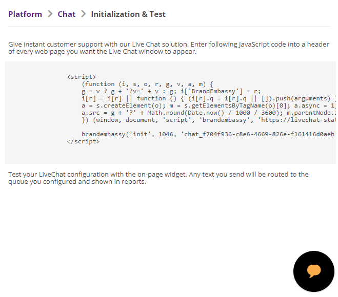 La página Inicialización y prueba con el código JavaScript para su ventana de chat en vivo.