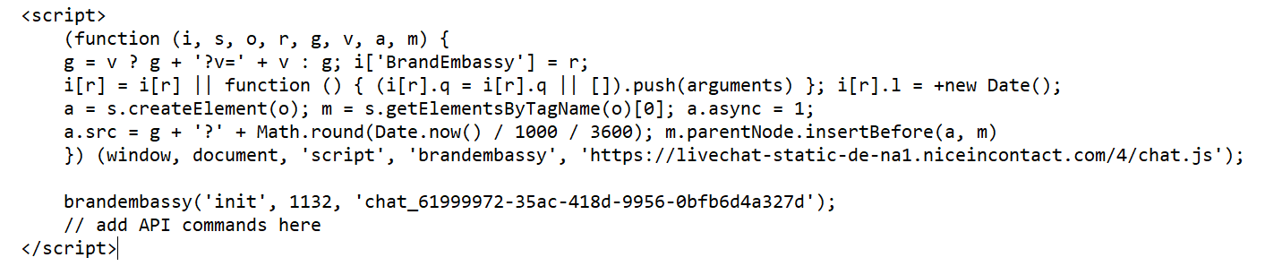 Un exemple de script d’initialisation JavaScript avec un commentaire indiquant l’emplacement où vous ajouteriez des commandes API.