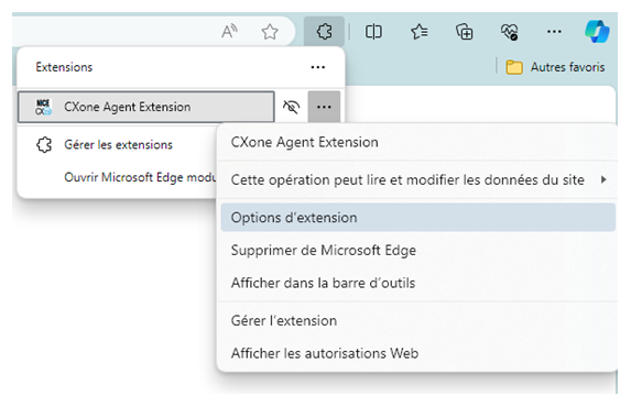 Options (icône à trois points) à côté de l’extension de navigateur CXone Agent. Une autre fenêtre contextuelle propose l’option Afficher dans la barre d’outils.