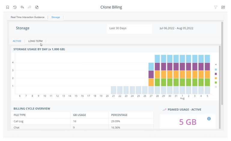 L'onglet Stockage du rapport de facturation CXone, qui indique les utilisateurs de stockage par jour, la vue d'ensemble du cycle de facturation et l'utilisation maximale - active