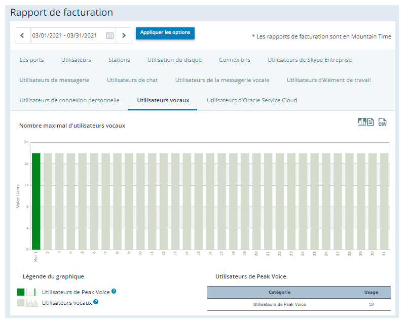 Image de l'onglet Utilisateurs vocaux du rapport de facturation.