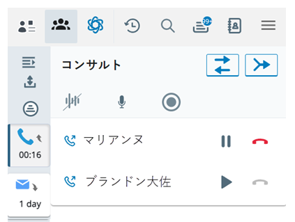マルチパーティスペースが開きます。 両方のコンタクトは、マスク、ミュート、録音のオプション付きでコンサルトに表示されます。