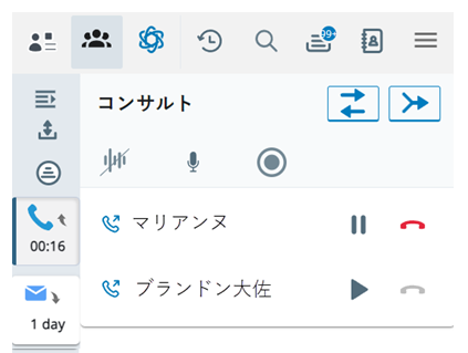 マルチパーティスペースが開きます。両方のコンタクトは、マスク、ミュート、録音のオプション付きでコンサルトに表示されます。