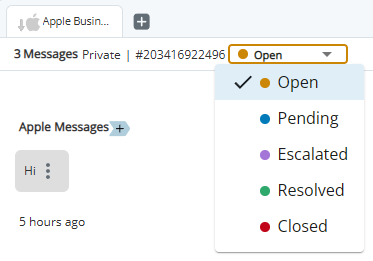 メッセージの上にあるドロップダウンをクリックすると、[オープン(Open)]、[保留中(Pending)]、[エスカレーション済み(Escalated)]、[解決済(Resolved)]、および [クローズ(Closed)] の色分けされたオプションが表示されます。