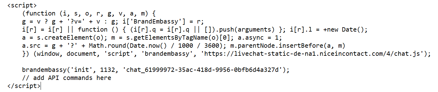 Um exemplo do script de inicialização Javascript com um comentário indicando o local onde você adicionaria comandos API.
